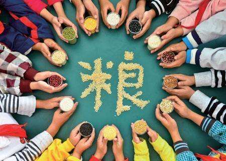 輸送帶廠家：第40個(gè)世界糧食日，食品安全很重要